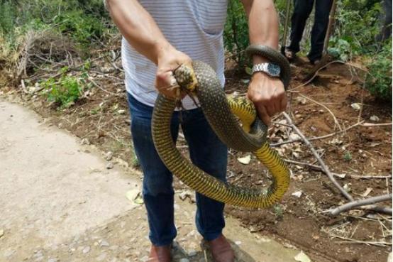千年风情与现代商机，河南之旅的发现之旅