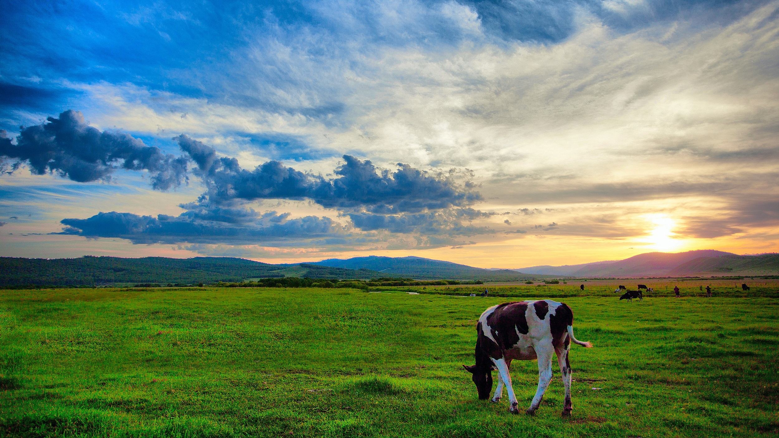 呼伦贝尔，草原诗篇的韵味天地